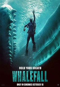Whalefall Event poster